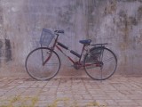  Ladies Bicycle - Lumala  Push Cycle