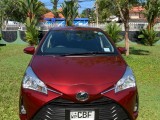 Toyota Vitz 2018 Car