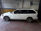Toyota Toyota Corolla - Elephant Back 1993 Car